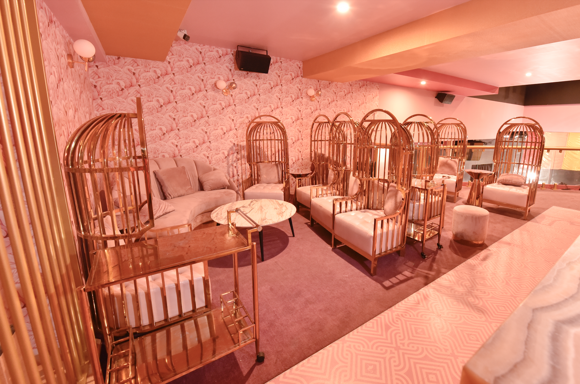 Hire The Birdcage, Pink Flamingo Gold Coast Attractions, Broadbeach • HeadBox